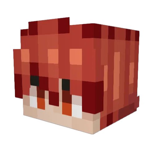 Aikyya Minecraft avatar head, 3D render