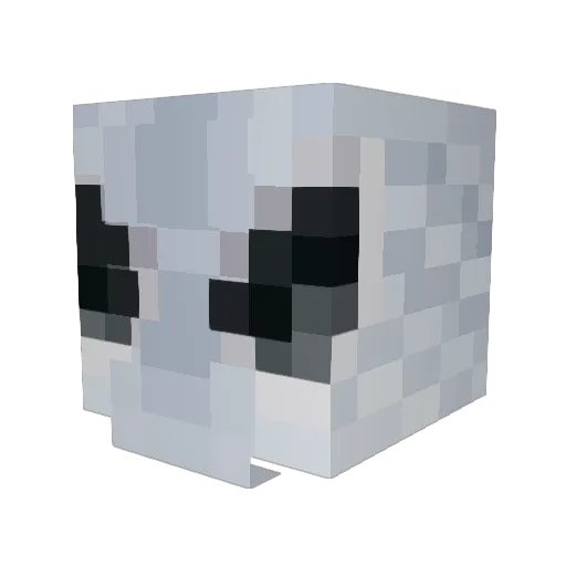 Ail0xs Minecraft avatar head, 3D render