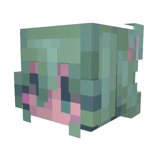 AilatheAster Minecraft avatar head, 3D render