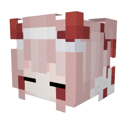 AileDash11 Minecraft avatar head, 3D render