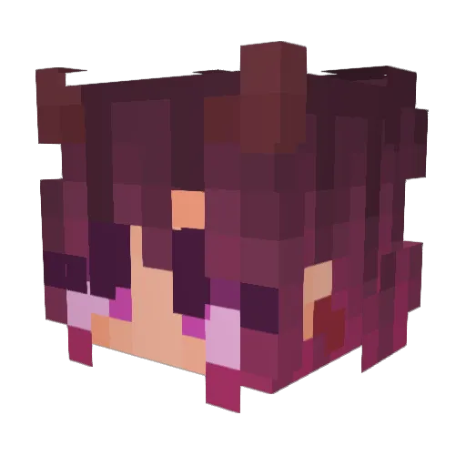 Aileen98 Minecraft avatar head, 3D render