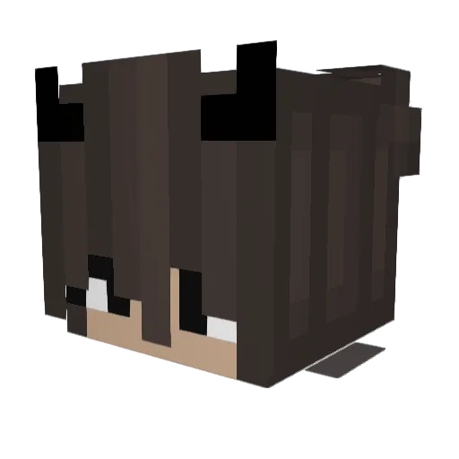 Aileen Minecraft avatar head, 3D render