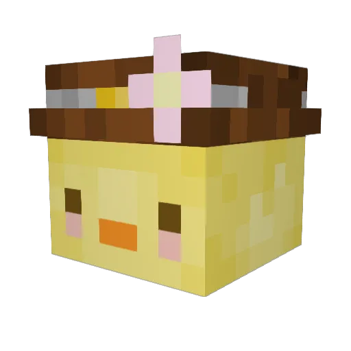 Aileene3 Minecraft avatar head, 3D render