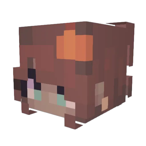 Ailemari Minecraft avatar head, 3D render