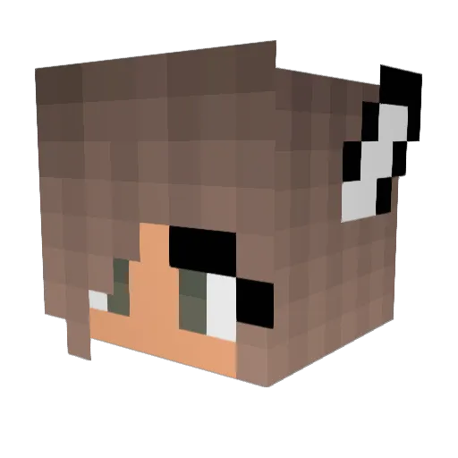 Ailen3679 Minecraft avatar head, 3D render