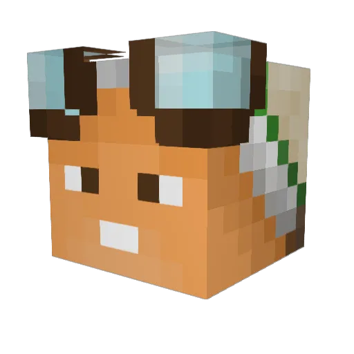 Aileron1241 Minecraft avatar head, 3D render