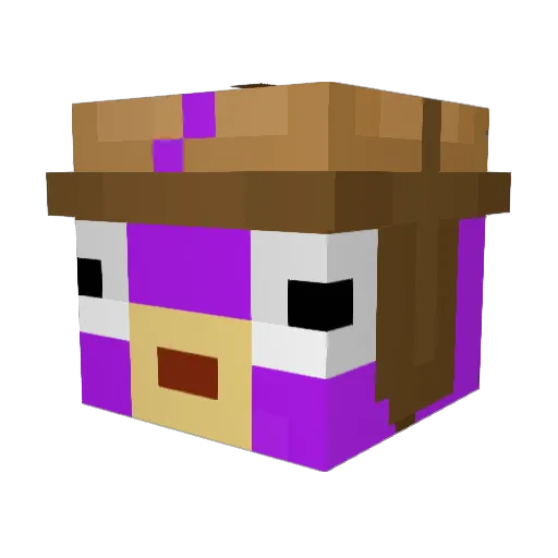 AilingParrot271 Minecraft avatar head, 3D render