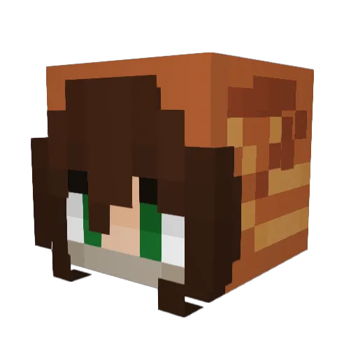 AilithNix Minecraft avatar head, 3D render