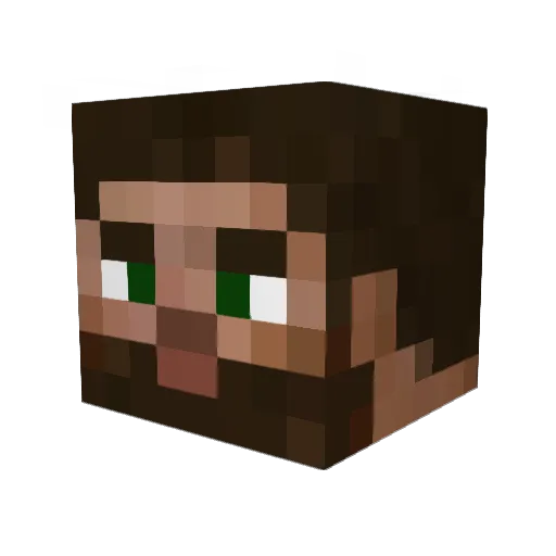 Aillend Minecraft avatar head, 3D render