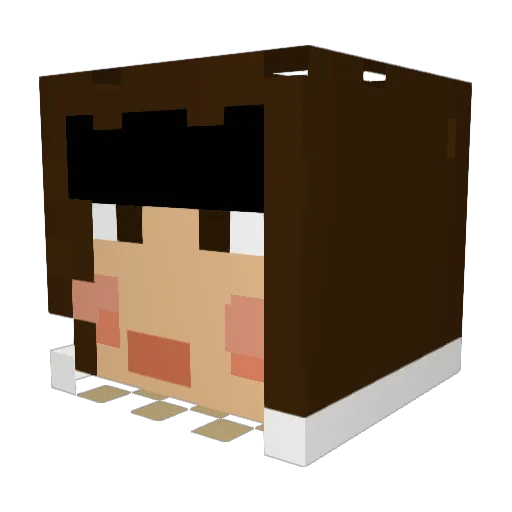 Ailuvin Minecraft avatar head, 3D render