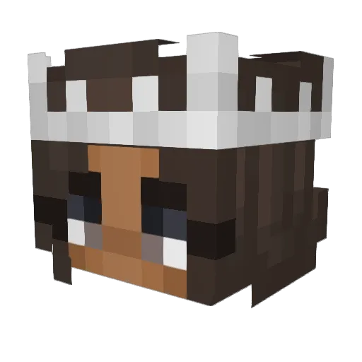 AimEducation Minecraft avatar head, 3D render
