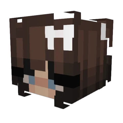 AimFrost Minecraft avatar head, 3D render