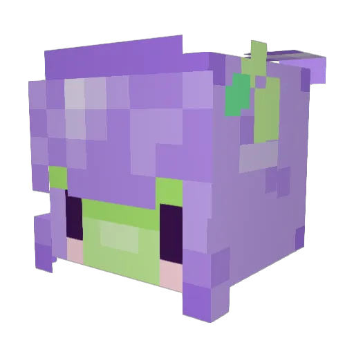 AimHighKiwi Minecraft avatar head, 3D render