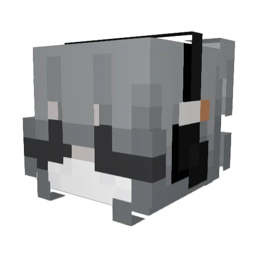 AimIsSleepy Minecraft avatar head, 3D render