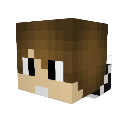 AimKot Minecraft avatar head, 3D render