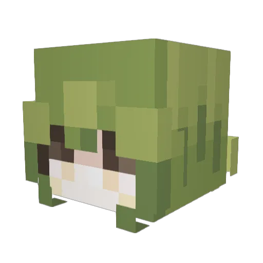 AimLol_ Minecraft avatar head, 3D render