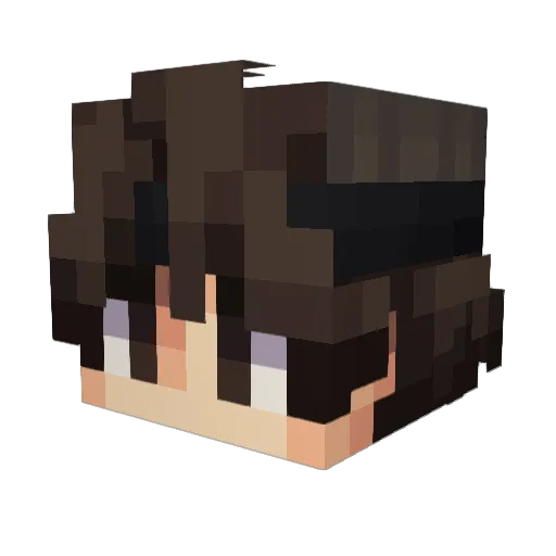 AimSunshine Minecraft avatar head, 3D render