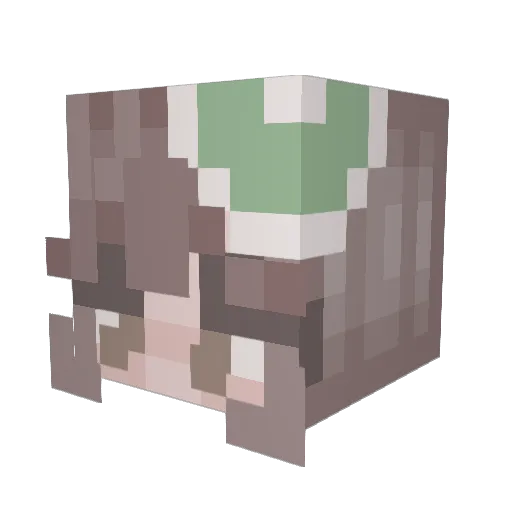 AimeeAnderson Minecraft avatar head, 3D render