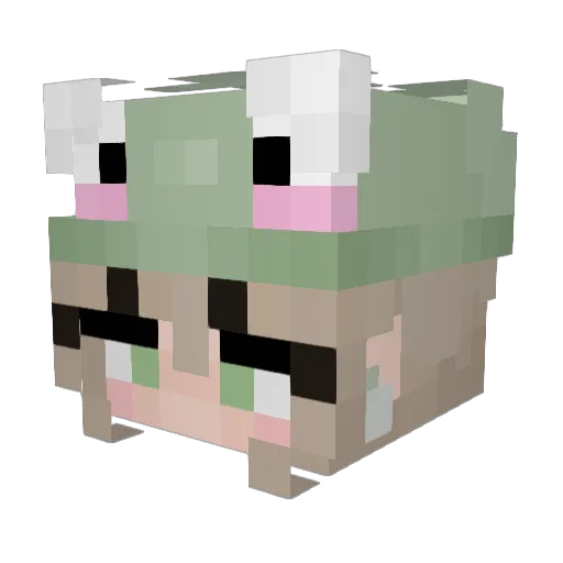 AimeePeach Minecraft avatar head, 3D render