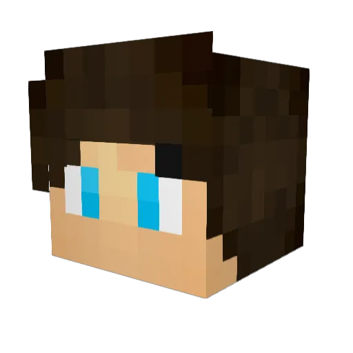 AimerLife Minecraft avatar head, 3D render