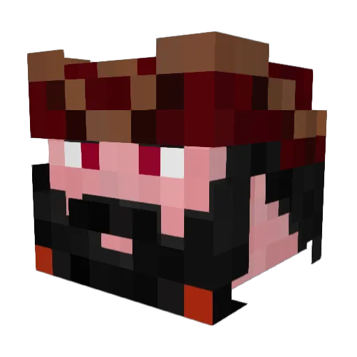 Aimer_Polaris Minecraft avatar head, 3D render