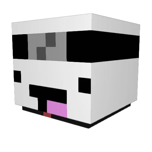 AimersXD Minecraft avatar head, 3D render