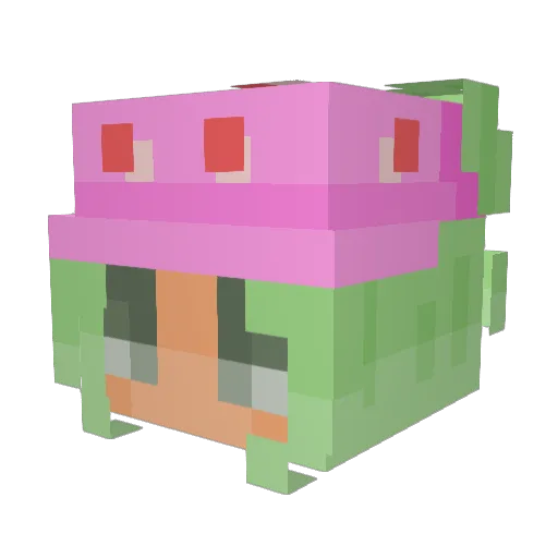 AimkaxD Minecraft avatar head, 3D render
