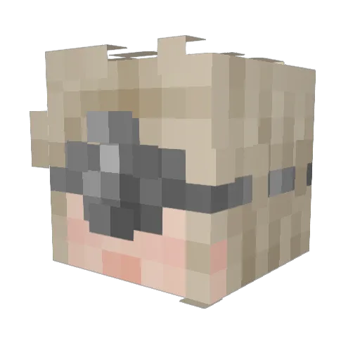 AimlessAimee Minecraft avatar head, 3D render
