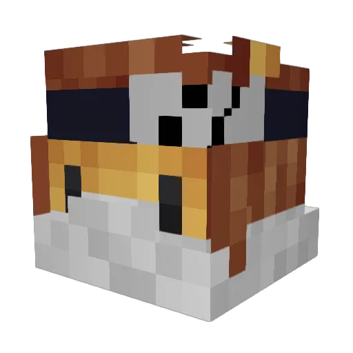 AimlessLion Minecraft avatar head, 3D render