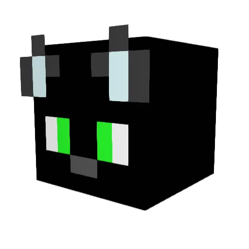 Aimless_Kitty Minecraft avatar head, 3D render