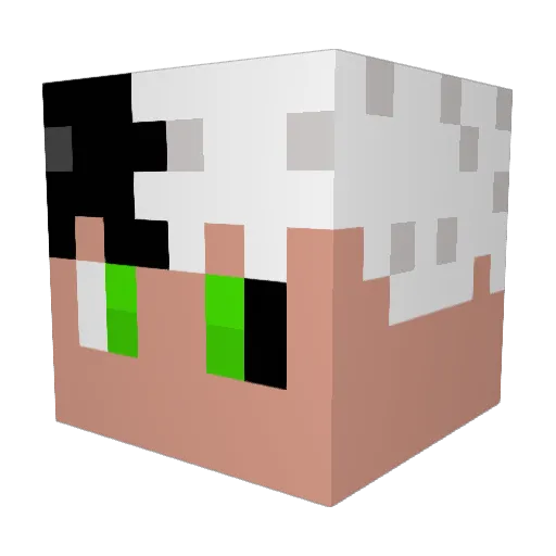 Aimohasdrxp Minecraft avatar head, 3D render