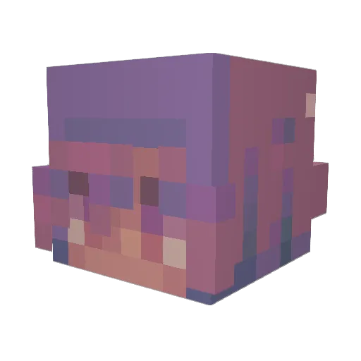 AimsTV Minecraft avatar head, 3D render