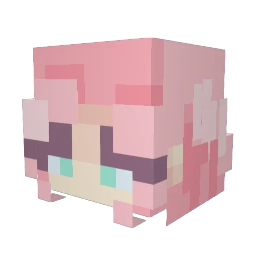 Aimyhop Minecraft avatar head, 3D render