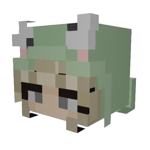 Aimzzz22 Minecraft avatar head, 3D render