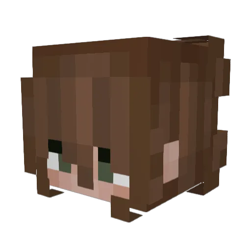 Ain0u Minecraft avatar head, 3D render