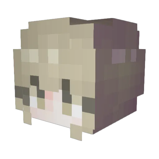 Ainelr Minecraft avatar head, 3D render