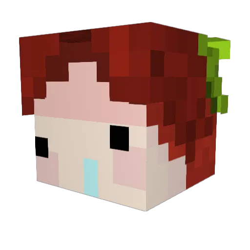 Aing4962 Minecraft avatar head, 3D render