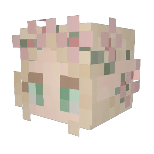 AinhoaAsensio Minecraft avatar head, 3D render