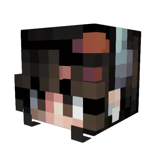 Ainmhian Minecraft avatar head, 3D render