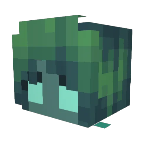 Ainoh_ Minecraft avatar head, 3D render