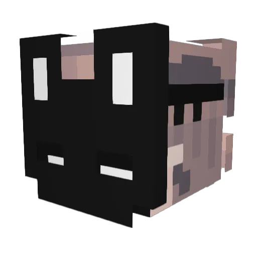 Ains511 Minecraft avatar head, 3D render