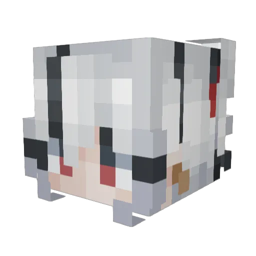 Aip49 Minecraft avatar head, 3D render