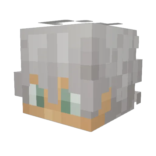 Aipikon Minecraft avatar head, 3D render