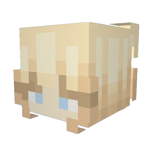 Aipol Minecraft avatar head, 3D render
