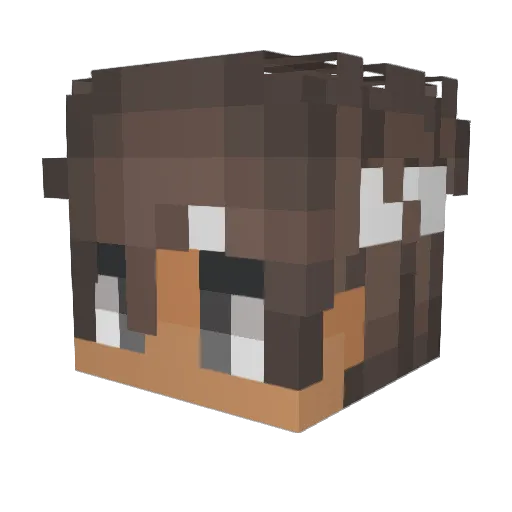 Aiqht Minecraft avatar head, 3D render