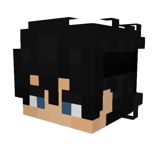 AirForceHero1 Minecraft avatar head, 3D render