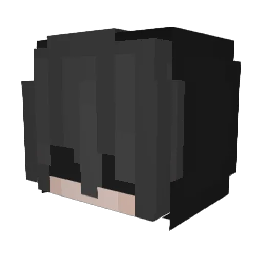AirMagicTY Minecraft avatar head, 3D render