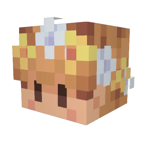 AirTomato Minecraft avatar head, 3D render