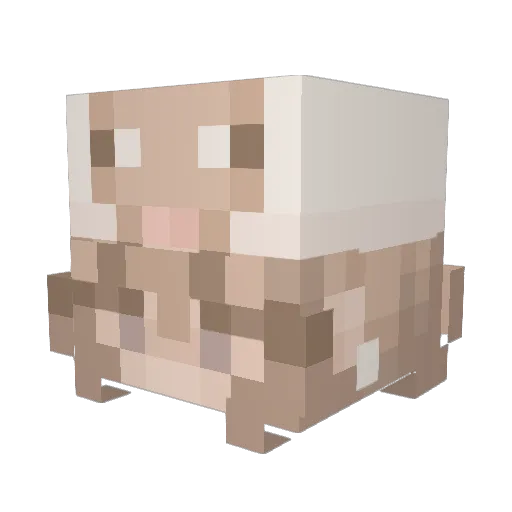 Air_ian Minecraft avatar head, 3D render