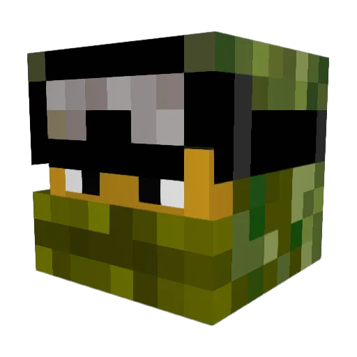 Airborne1102 Minecraft avatar head, 3D render
